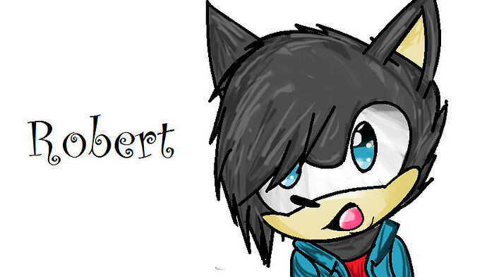 robert_the_hedgehog_by_robert_j101_d4cvv3k-fullview