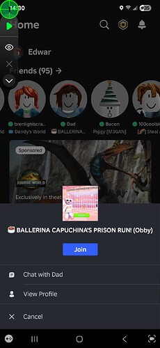 Screenshot_20250621_143012_Roblox