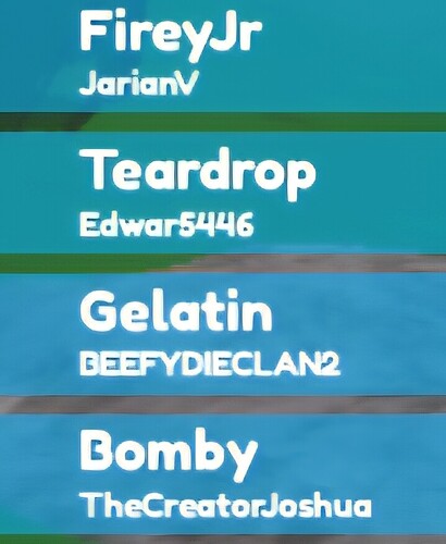 Screenshot_20250510_131151_Roblox