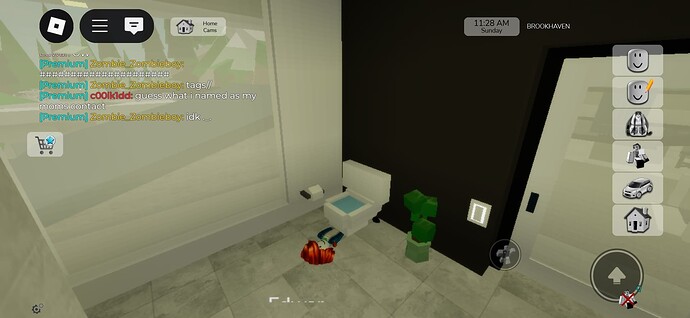 Screenshot_20250504_202644_Roblox