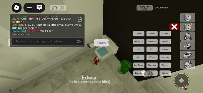 Screenshot_20250504_203407_Roblox