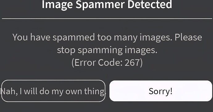 Screenshot_20250616_150932_Roblox
