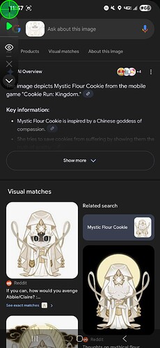 Screenshot_20250526_115730_Google
