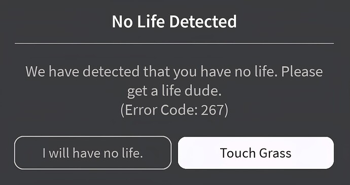 Screenshot_20250601_062657_Roblox