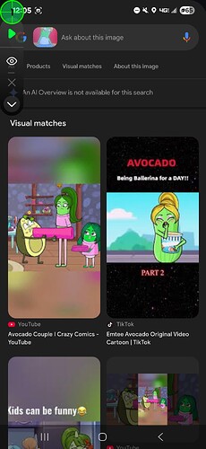 Screenshot_20250526_120549_Google