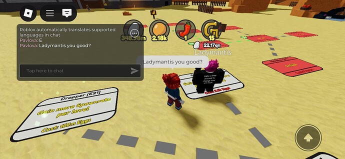 Screenshot_20250711_085333_Roblox