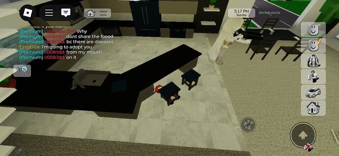 Screenshot_20250504_203312_Roblox