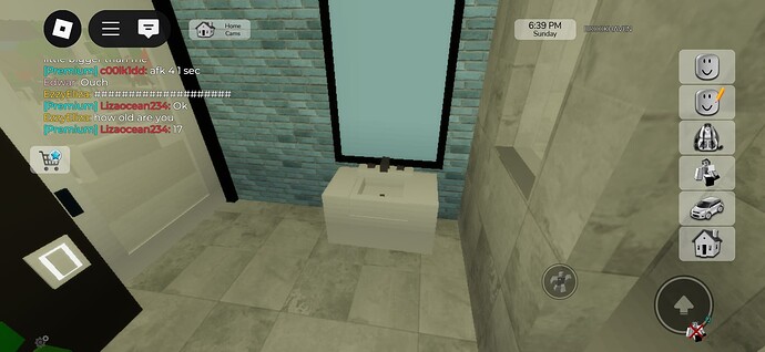 Screenshot_20250504_203432_Roblox