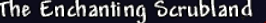 Screenshot 2025-05-04 092355
