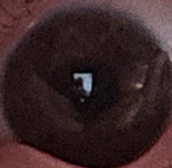 20250703_165436